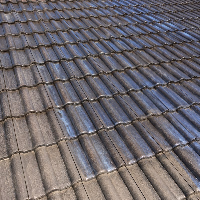Penetrating sealer applied to the roof surface